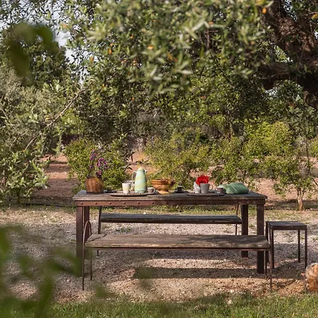 Td Trulli Vittoriani Charme And Pure Nature W Pool Villa